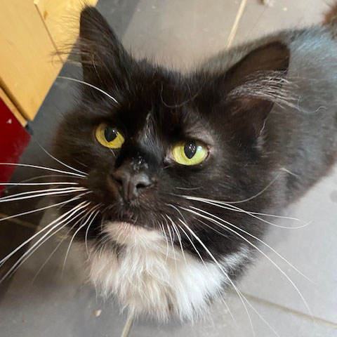 Charles