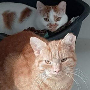 siblings